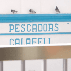 L’encant de la calma